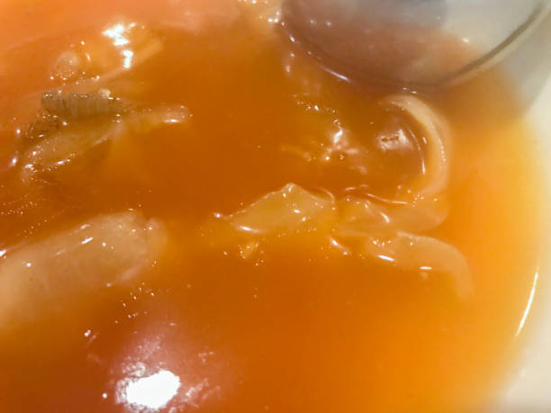 istock Chinese Sharks Fin Soup Brown Sauce 847560134