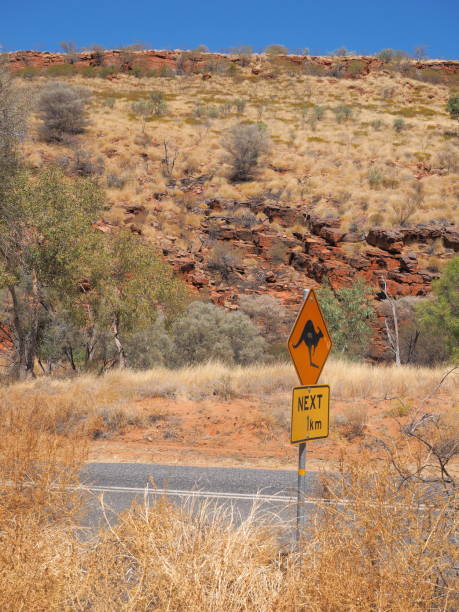 istock Warning sign for Kangaroo crossing at the Ormiston Gorge access road 847567820