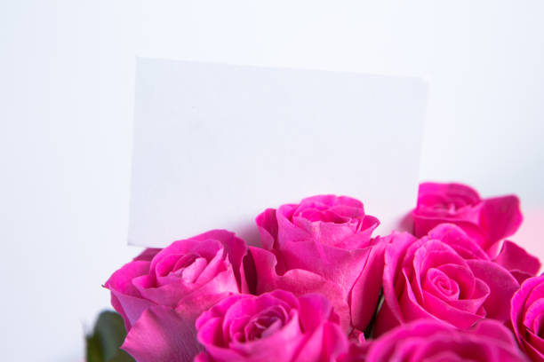 Rose - Flower, Flower,Bouquet, Bunch of Flowers,Flower Head,Backgrounds,Pink color,Red,Leaf,