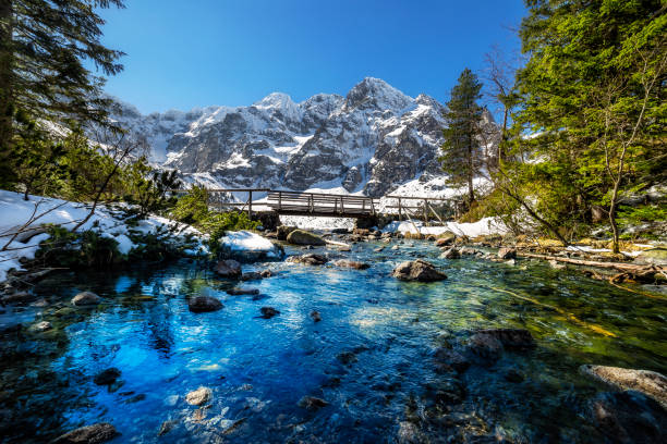 Rybi stream flowing out of the Morskie Oko lake, Tatra Mountains Rybi stream flowing out of the Morskie Oko lake, Tatra Mountains, Poland carpathian mountain range photos stock pictures, royalty-free photos & images