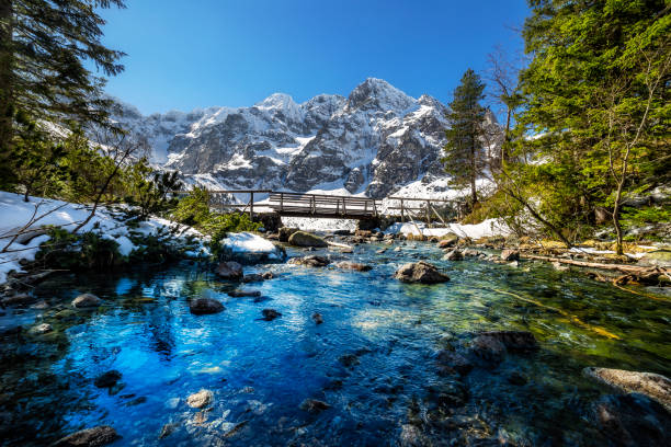 rybi riacho flui fora do lago morskie oko, montanhas tatra - tatra mountains zakopane lake mountain - fotografias e filmes do acervo