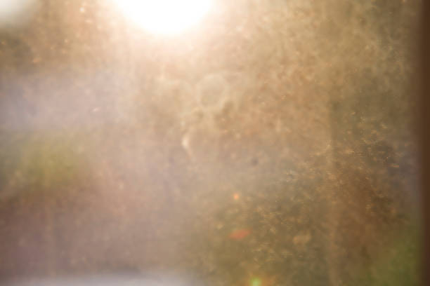 istock Nature blur background. Ecology concept. 847579846