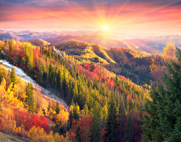 istock Golden Forest Ridge Sokilsky 847580292