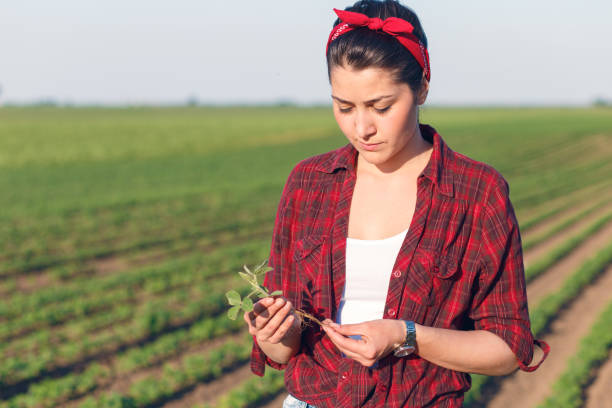 istock Female farmer standing in a field and examining crop. 847586344