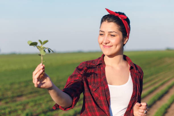 istock Female farmer standing in a field and examining crop. 847588928