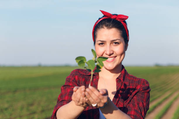 istock Female farmer standing in a field and examining crop. 847594330