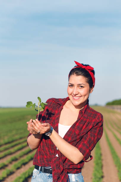 istock Female farmer standing in a field and examining crop. 847594358