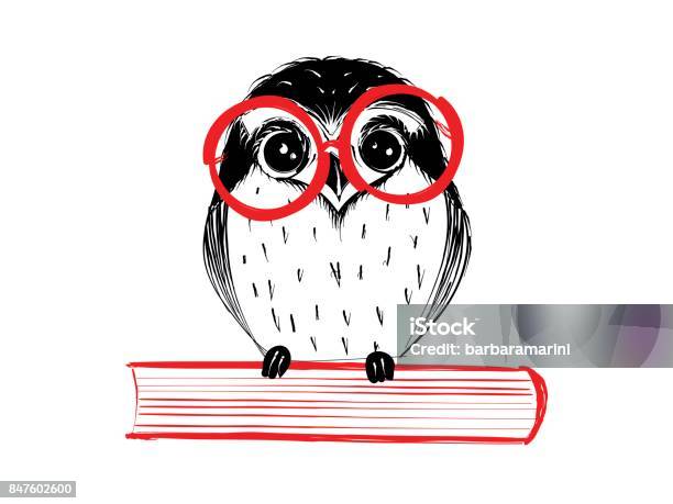 Cute Hand Drawn Owl With Red Glass Sitting On Book Stock Illustration - Download Image Now - Owl, Book, Illustration
