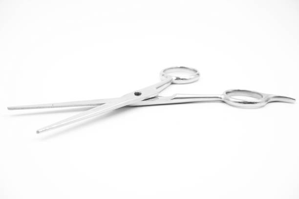 istock Hairdresser's scissors 847603168