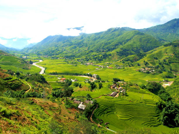 istock Sapa Rice Field Rice Terrace in Vietnam. 847607434