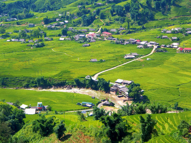 istock Sapa Rice Field Rice Terrace in Vietnam. 847607474