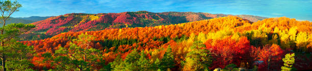istock Dovbush Rocks in Bubnyshche 847620502