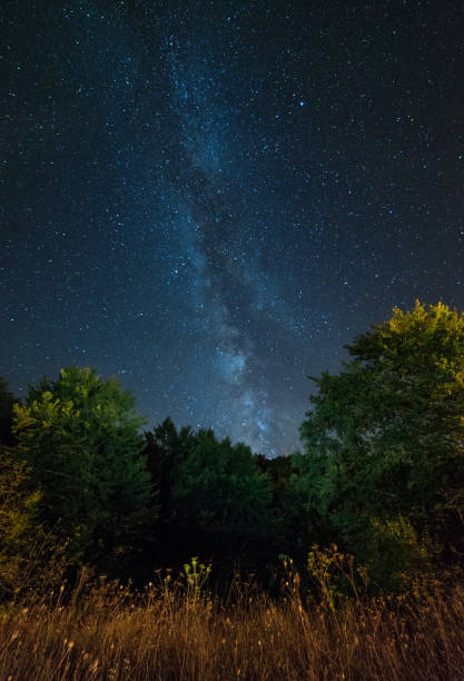 istock Starry night sky with Milky Way 847621358