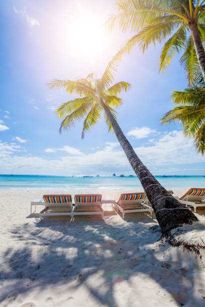 istock Beautiful beach and tropical sea 847634380