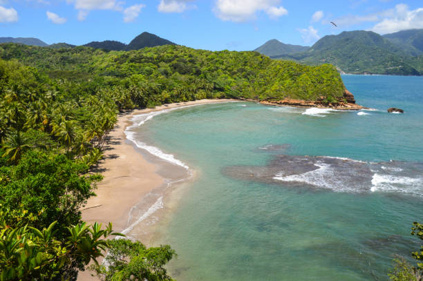 istock Batibou beach, Dominica 847657960