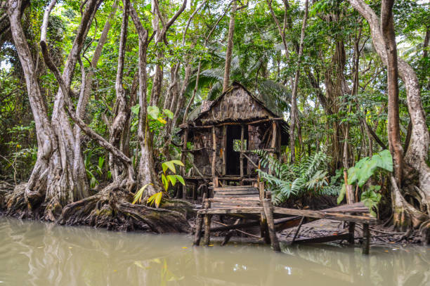 istock Wooden hut on Indian River, Dominica 847658092
