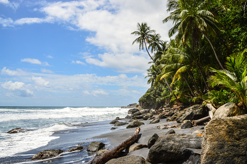 Wavine Cyrique, Dominica - May 18, 2017: palm trees on volcanic beach