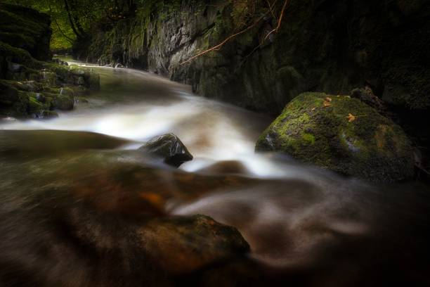 200+ River Neath Stock Photos, Pictures & RoyaltyFree Images iStock