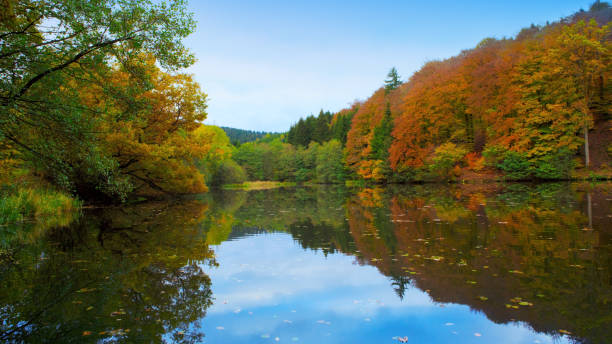 istock Forest lake and autumn trees 847674312