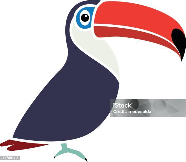Toucan Stock Illustration - Download Image Now - Animal, Animal Body Part, Animal Head