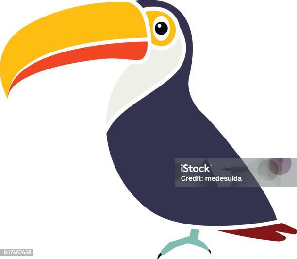 Toucan Stock Illustration - Download Image Now - Animal, Animal Body Part, Animal Head