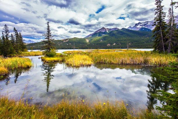 istock The smooth water reflects the cloudy sky 847697604