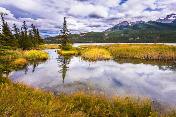 istock The lake reflects the cloudy sky 847697614