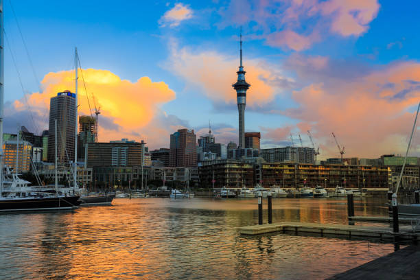 istock Auckland,New zealand 847701636