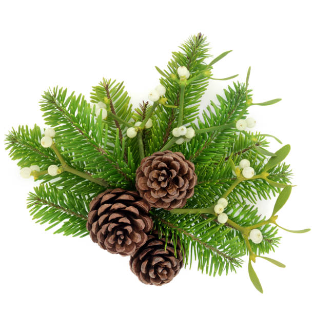 istock Pine Cones Fir and Mistletoe Decoration 847705684