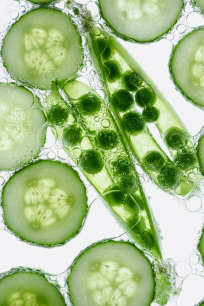 istock green peas and cucumber slices 847706442