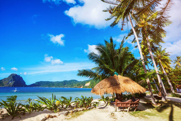 istock Beautiful beach and tropical sea 847710630