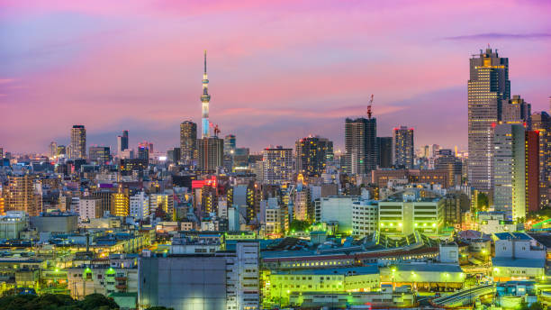 istock Tokyo Japan Cityscape 847714890