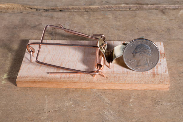 istock US coin quarter in a mousetrap 847718064