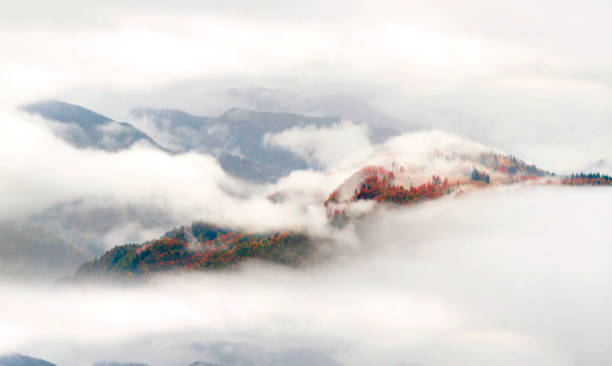 istock Sea fog after rain 847726238