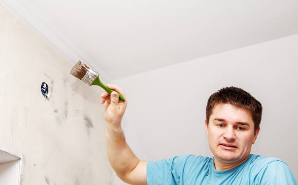 istock worker painting wall with background glue for a wallpaper 847726644