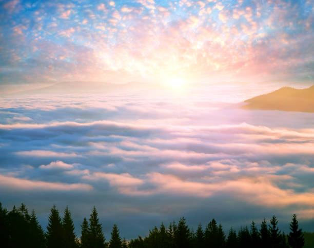 istock Foggy sunrise in the Carpathian mountains 847746224