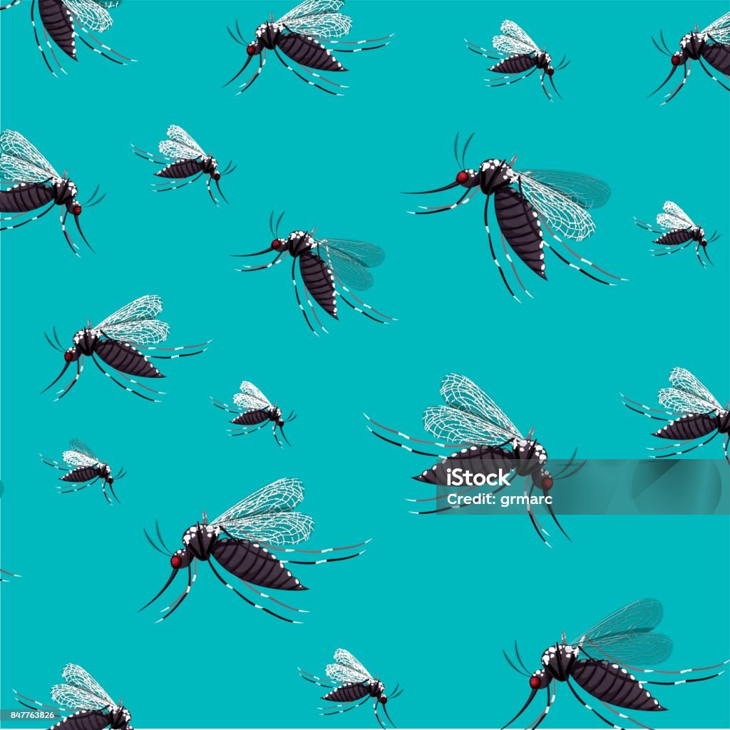 Gnat Vector Infectious Gnat Desig Stock Illustration - Download Image Now ...