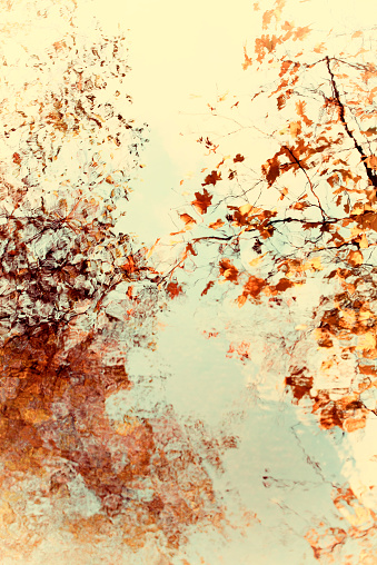 Bright soft abstract autumn leaves and branches with water reflection from sweden nature