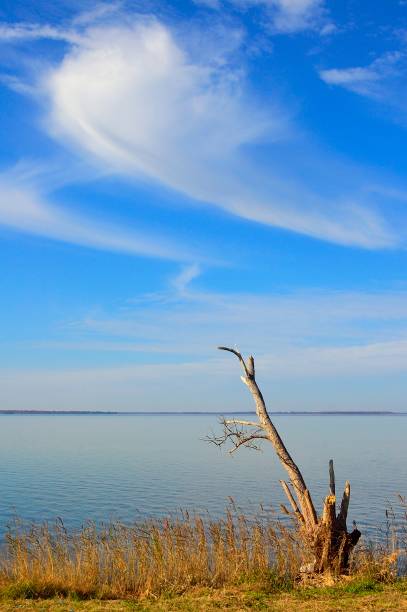 istock Lake Mattamuskeet Cloudscape 847770220