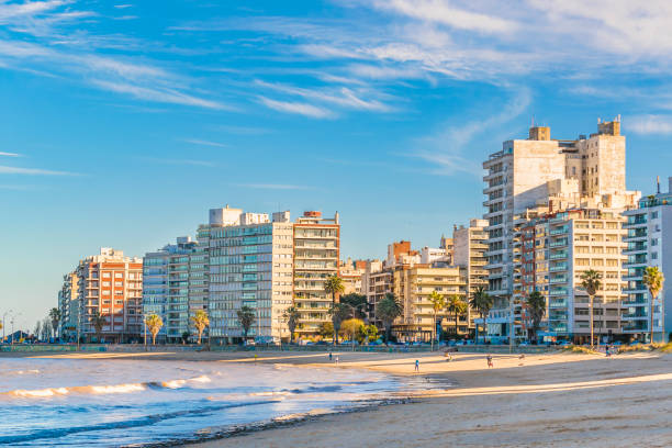 coastal urban scene, montevideo, uruguay - montevidéu imagens e fotografias de stock