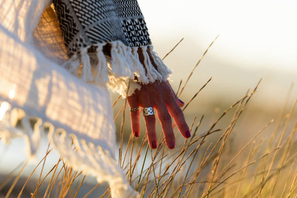 Woman hand caressing grass Woman hand caressing grass in nature near the sea at sunset meditation hands stock pictures, royalty-free photos & images