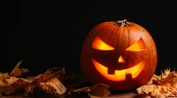 istock Halloween pumpkin in black background 847799370
