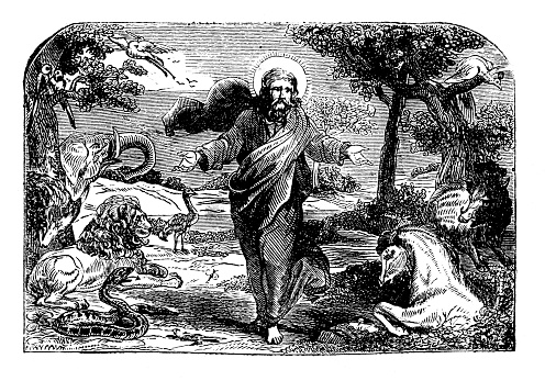 19th-century illustration of God Creating the Garden of Eden theme. Published in “História Sagrada do Antigo e Novo Testamento”, Tomo 1 - Vª J.-P. Aillaud, Guillard e Cª - 1863