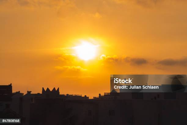 The City At The Sunset Stock Photo - Download Image Now - Aerial View, Animal, Animal Wildlife