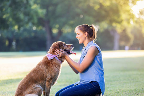 istock Happy woman works on obedience training with her dog 847808246