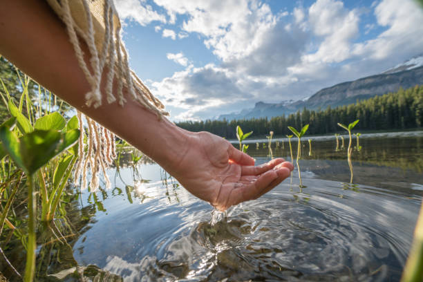 istock Human hand cupped to catch fresh water from mountain lake 847808292