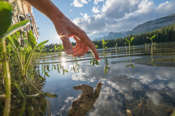 istock Finger touches surface of mountain lake 847808664