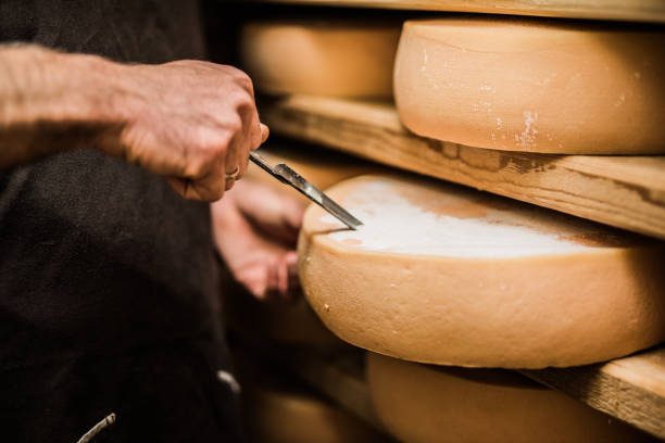 francese che prende un campione di formaggio di alta qualità - swiss cheese foto e immagini stock