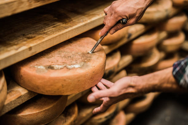 Frenchman taking a sample of premium quality cheese Frenchman taking a sample of premium quality cheese franche comte photos stock pictures, royalty-free photos & images
