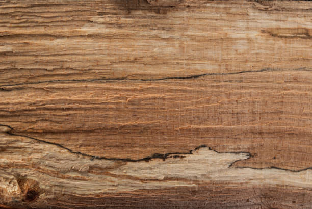 istock Beauty natural wood texture for design and decoration 847825598